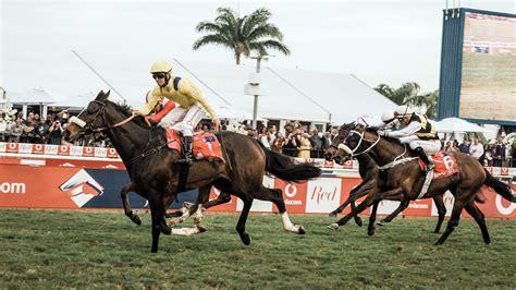durban july betting|Durban July Betting – Our Guide for the 2024 Event.